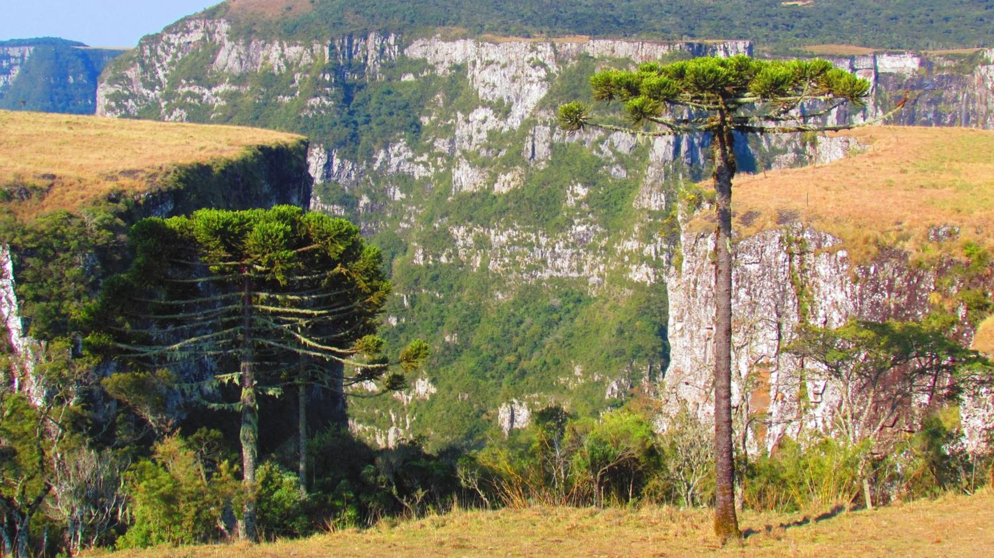 Fazenda Santa Rita Turismo Rural Бон-Жардин-да-Серра Экстерьер фото